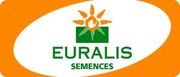 Семена подсолнечника Евралис (Euralis semences)